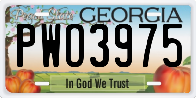 GA license plate PWO3975