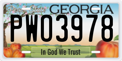 GA license plate PWO3978
