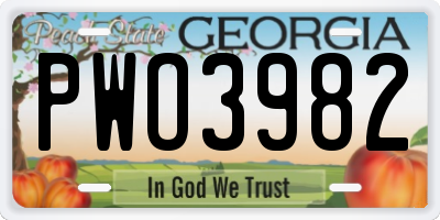 GA license plate PWO3982