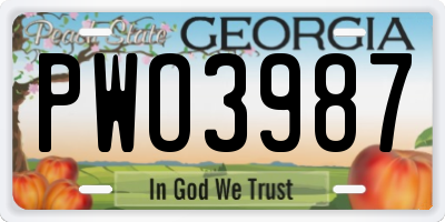 GA license plate PWO3987