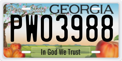 GA license plate PWO3988