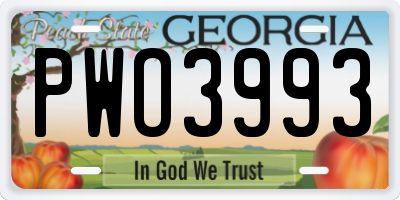 GA license plate PWO3993