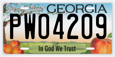 GA license plate PWO4209