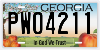 GA license plate PWO4211