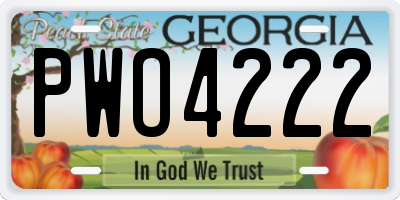 GA license plate PWO4222