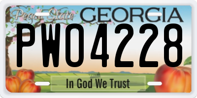 GA license plate PWO4228