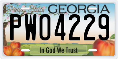 GA license plate PWO4229