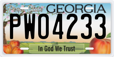 GA license plate PWO4233