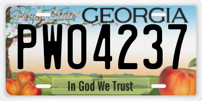GA license plate PWO4237
