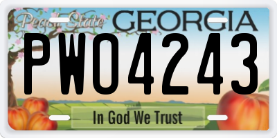 GA license plate PWO4243