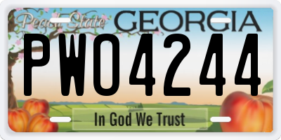 GA license plate PWO4244