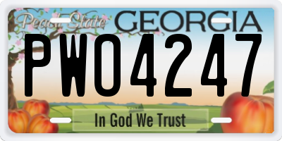 GA license plate PWO4247