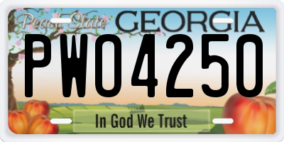 GA license plate PWO4250