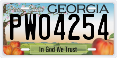 GA license plate PWO4254