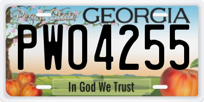 GA license plate PWO4255