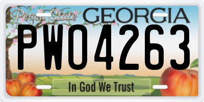 GA license plate PWO4263