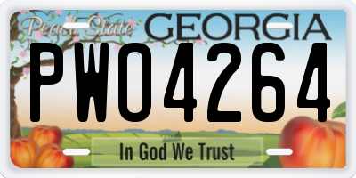 GA license plate PWO4264