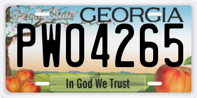 GA license plate PWO4265
