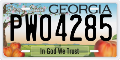 GA license plate PWO4285