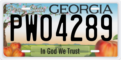 GA license plate PWO4289