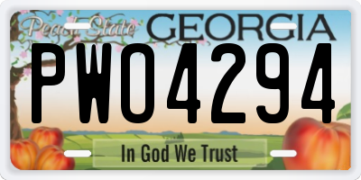 GA license plate PWO4294