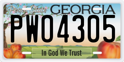 GA license plate PWO4305