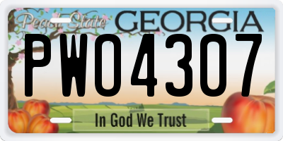 GA license plate PWO4307
