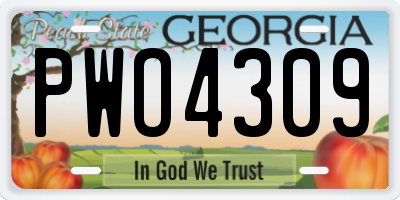 GA license plate PWO4309