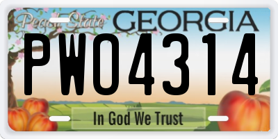 GA license plate PWO4314