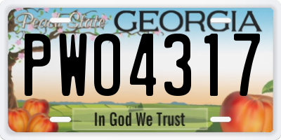 GA license plate PWO4317