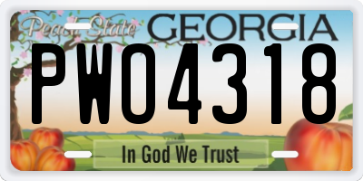 GA license plate PWO4318