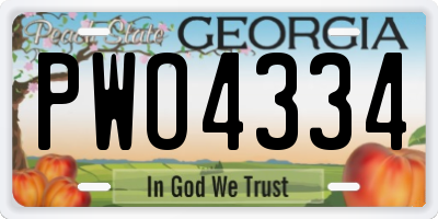 GA license plate PWO4334