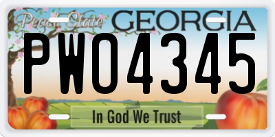 GA license plate PWO4345