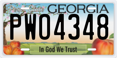 GA license plate PWO4348