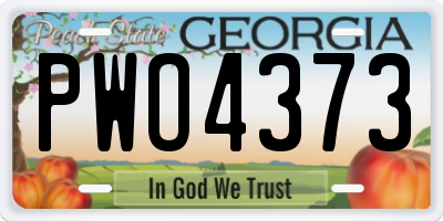 GA license plate PWO4373