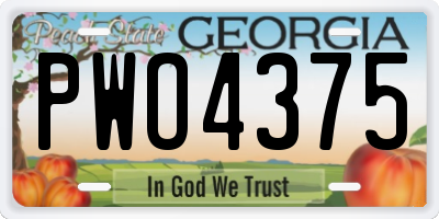 GA license plate PWO4375