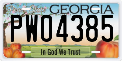 GA license plate PWO4385