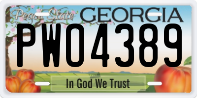GA license plate PWO4389