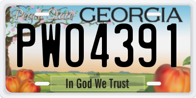 GA license plate PWO4391