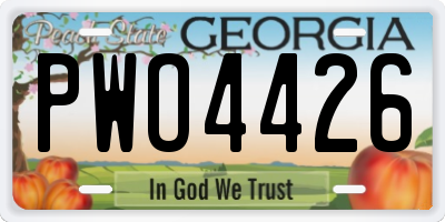GA license plate PWO4426