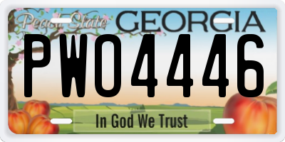 GA license plate PWO4446