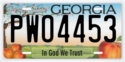GA license plate PWO4453
