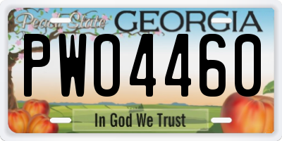 GA license plate PWO4460