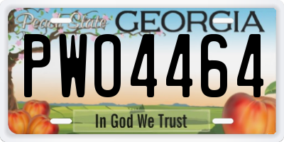 GA license plate PWO4464