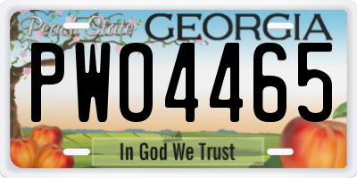 GA license plate PWO4465