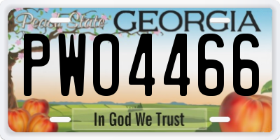 GA license plate PWO4466