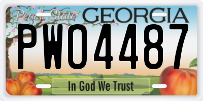 GA license plate PWO4487