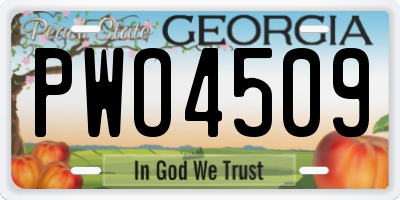 GA license plate PWO4509