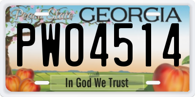 GA license plate PWO4514