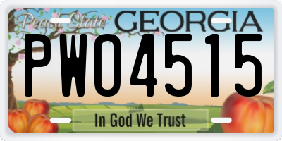 GA license plate PWO4515